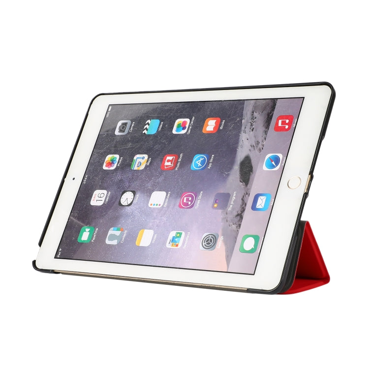 EDA001095602A_3.jpg@805477329e02774d4a7f92ccd8929083