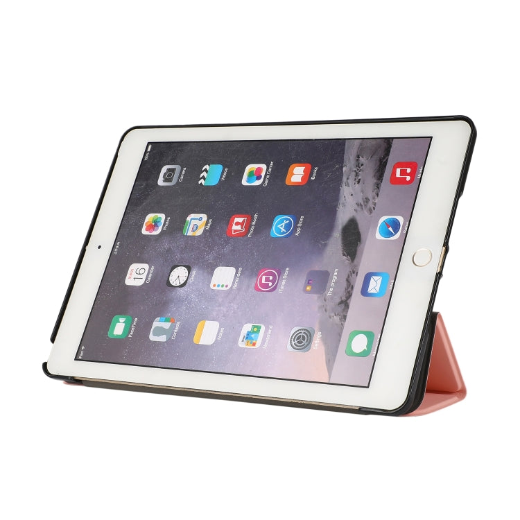 EDA001095602G_3.jpg@351638df0d7c685391d8346a249a340e