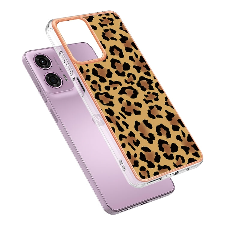 EDA005123510B_2.jpg@cd2088938ade0f546c347f0db055551c