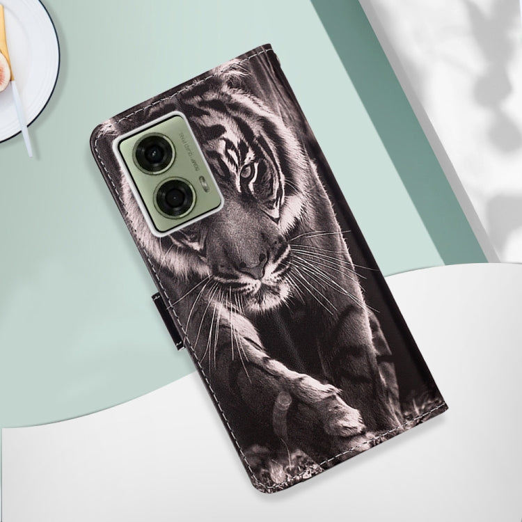 EDA005660310F_1.jpg@9319a6dd8093a694c7b31e8d82b3764e