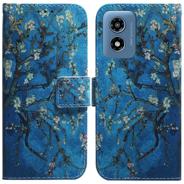 EDA005703405D.jpg@84c513c8aab71377b5afcc3049b22701