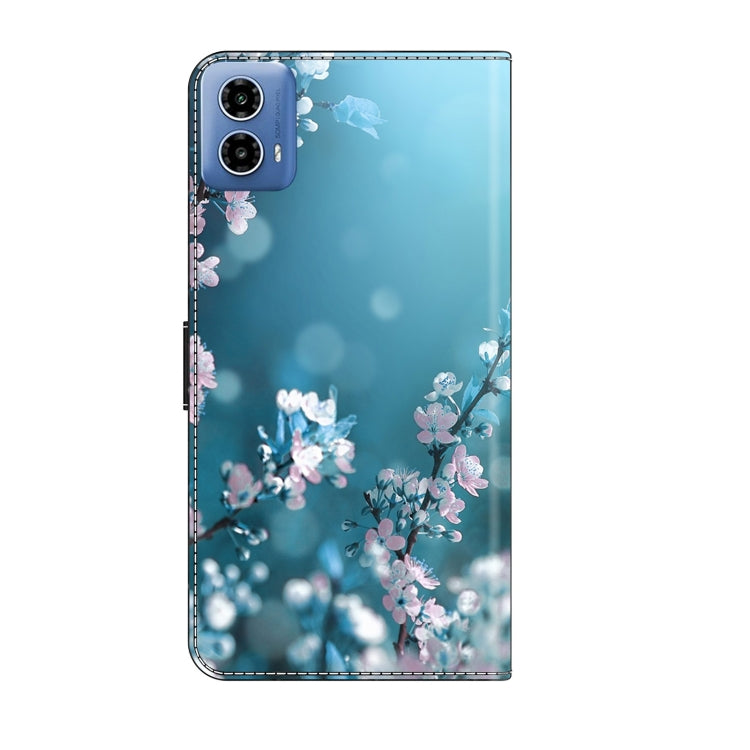 EDA005855504N_3.jpg@21ebcf17d7ca97baa38fe5e69522b127