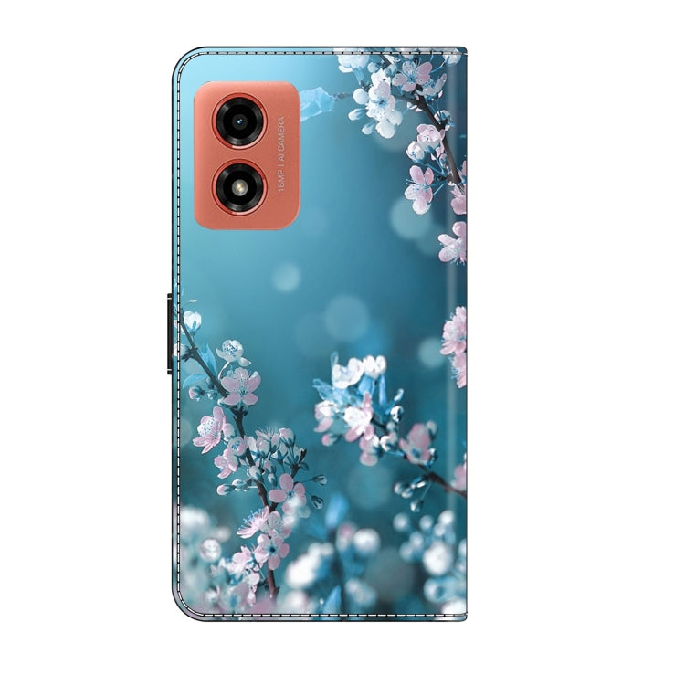 EDA005855506N_3.jpg@48580eaa0af1fff2440933effa31d91a