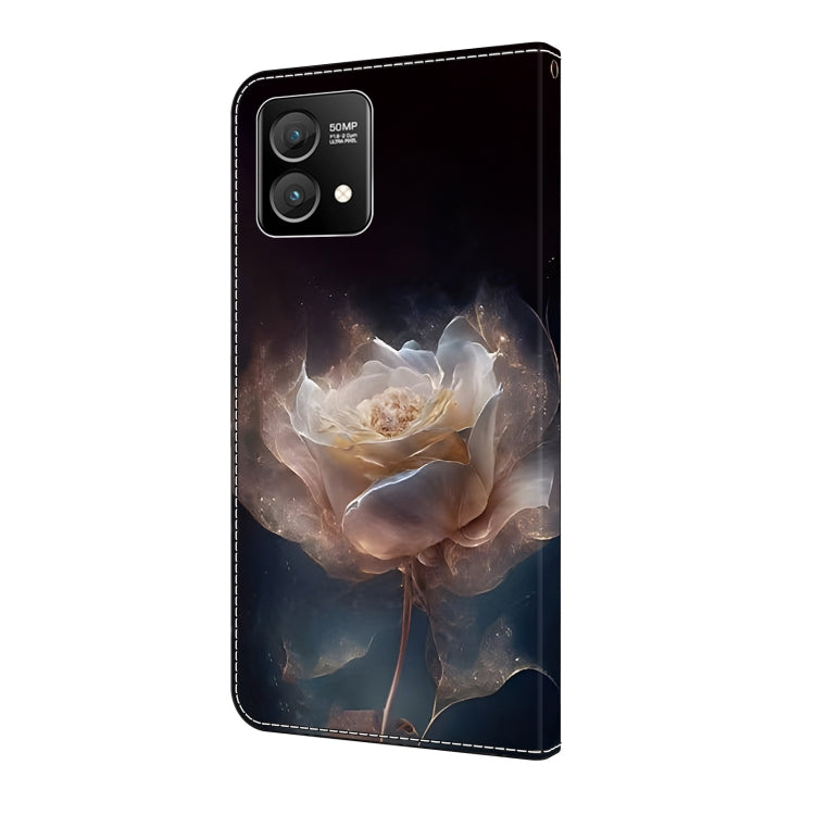 EDA006309905I_2.jpg@f50a4cabb22401bf82a4ba859e8a18b9