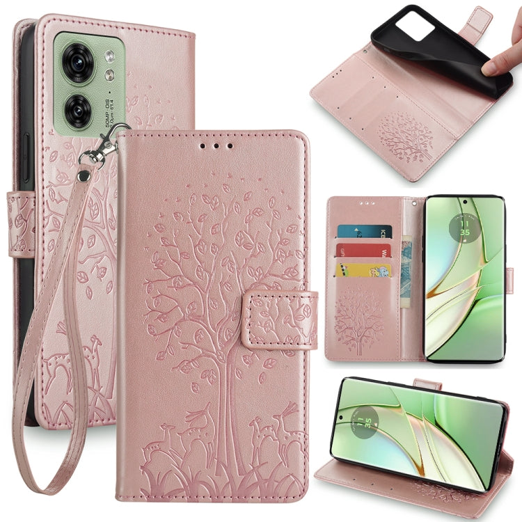 EDA006441501E.jpg@a4a82be72aee80b70a2fbb255e44e8e7