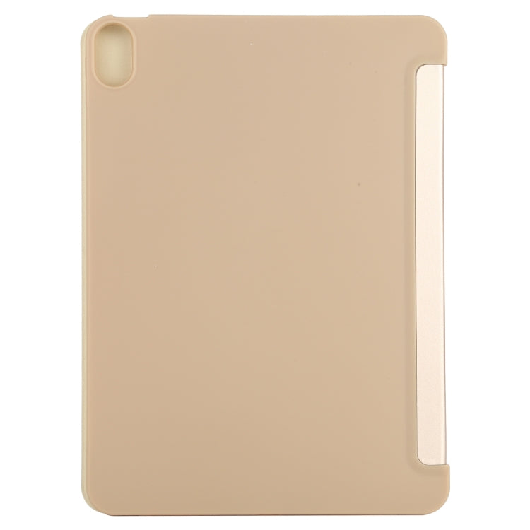 EDA00865101C_2.jpg@346dde5657cbca848e2c057f92661a1d