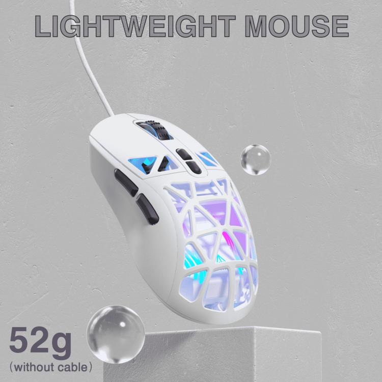 EDA008966101A_8.jpg@1d7c72381883ada6e167ad9f78b1ea05