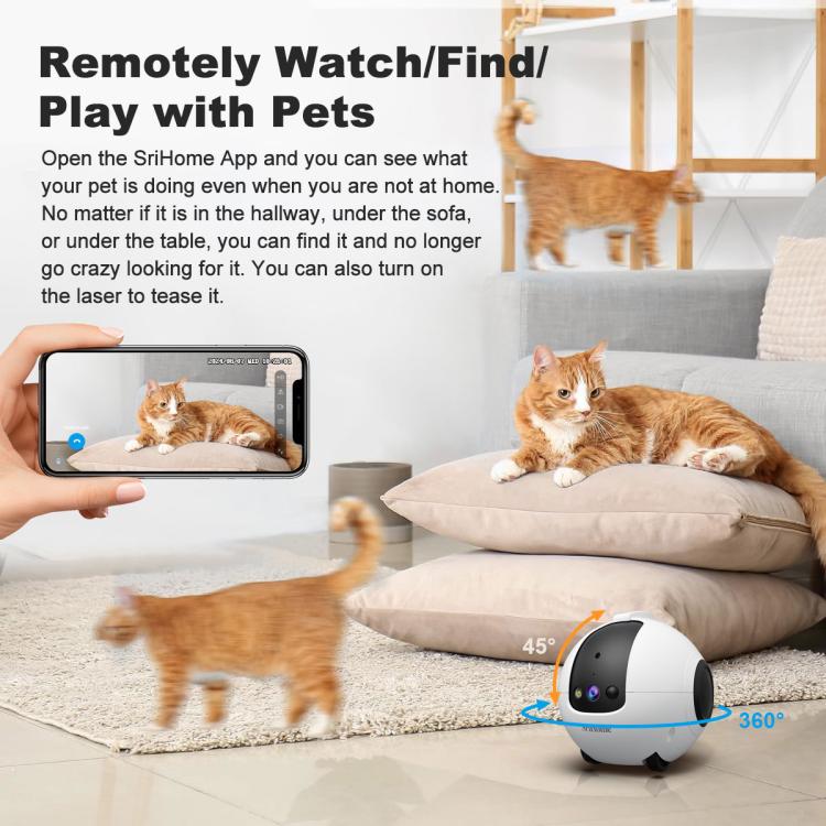 EDA0092514_B13.jpg@b01fb34ccf04d543d508032209aae65e