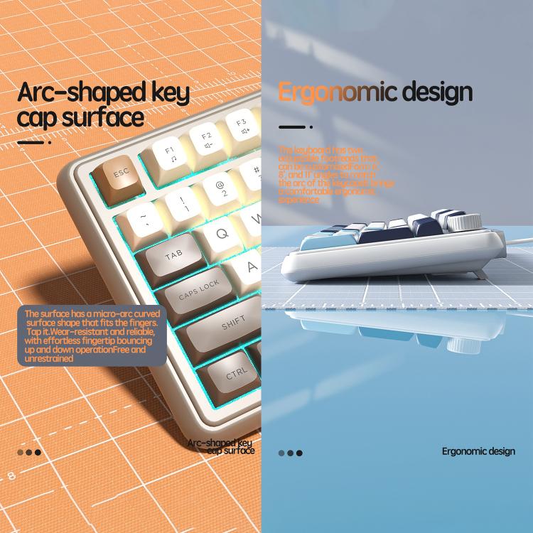 EDA0095733_B5.jpg@1ef90082d980ee0d0beee6ec290a91a3