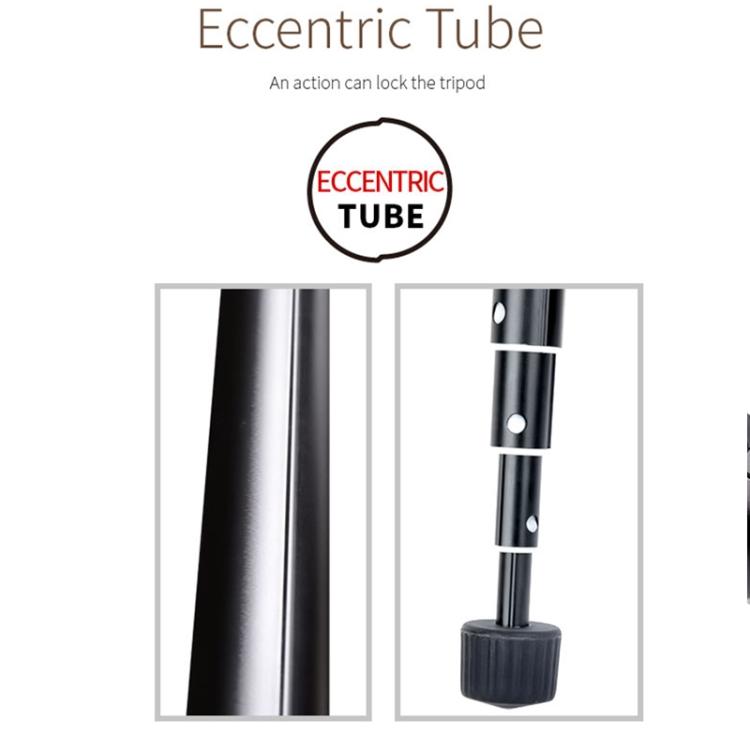 TBD0531802901B_7.jpg@fa787aa6b8ca5bc7bf04e741e364f98a