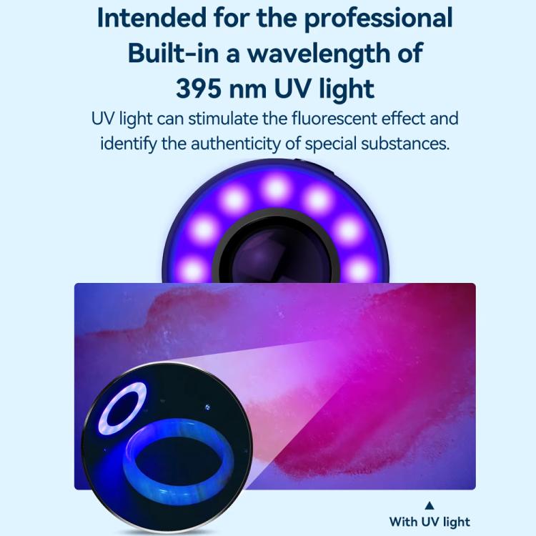 TBD06057097_B9.jpg@66a090370766647afe57ef82beea9cfc