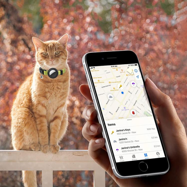 TBD06057893_B5.jpg@f51ddb4ba8340784372d9cb65922f7c1