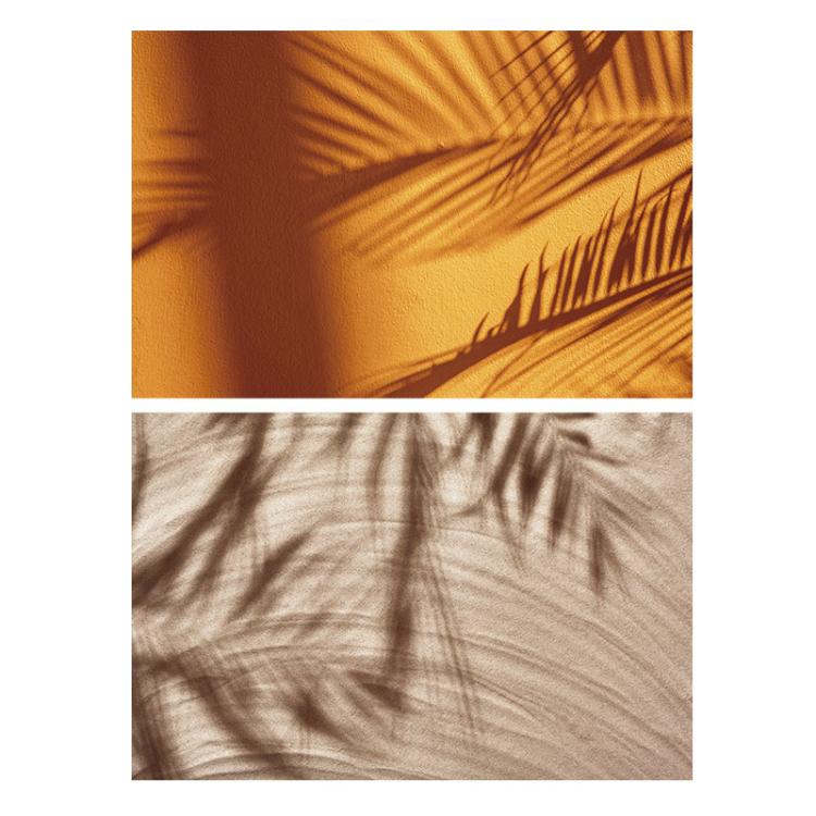 TBD0605949501A.jpg@cd530fd576df3ef16018fbe2e37d85da