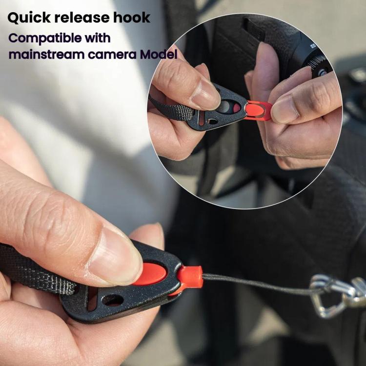 TBD06059906_B9.jpg@a021dc0214afbebae61bd78d106076c1