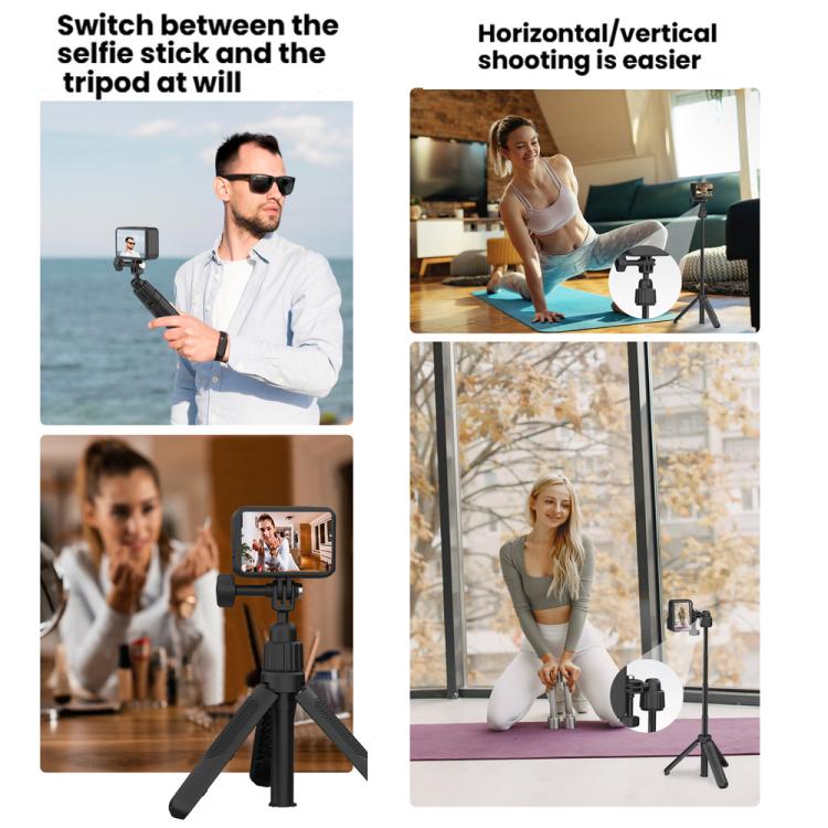 TBD06065270_B4.jpg@add0152598ea8595f32539f284da444a