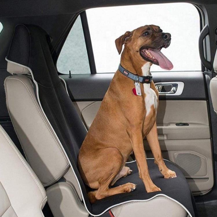 TBD06067376_B6.jpg@c04569557fbb0eb6d8c7b6eff1d4c019