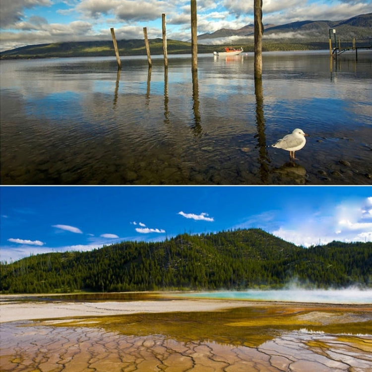 DCA0061_8.jpg@53040eeeb1ee190c3318b67e7f023a0f