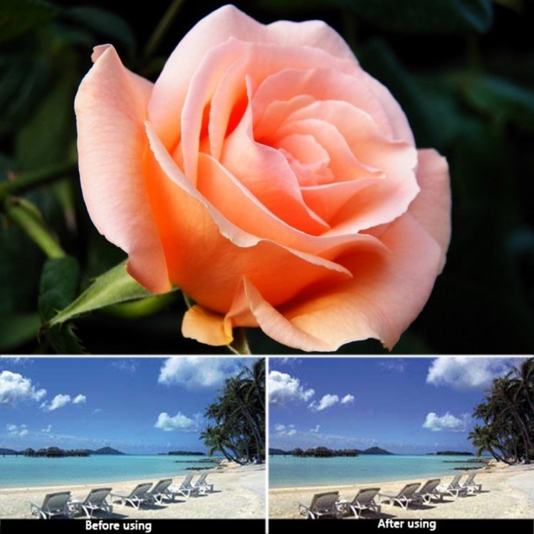 DCA0062_9.jpg@4511d06892fc3e7d06f2a9eb23d4cf12