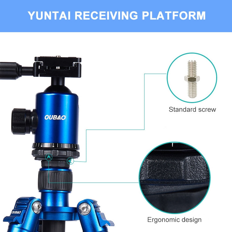 DCA1151_10.jpg@cc1a78750f5bb004b7a1ef50c5dccf29