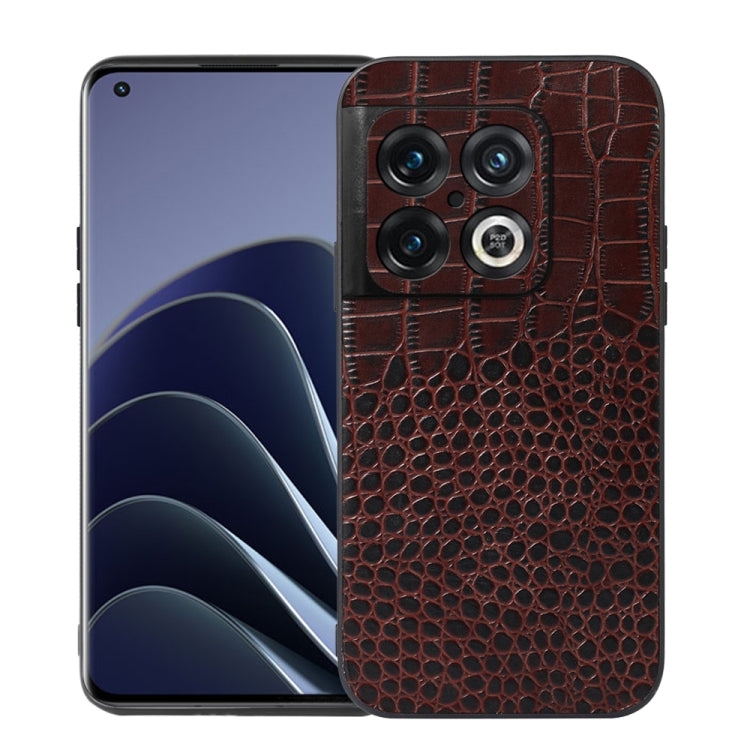 EDA002762201C.jpg@e58ad878d51dbd3c83556229c3e53052