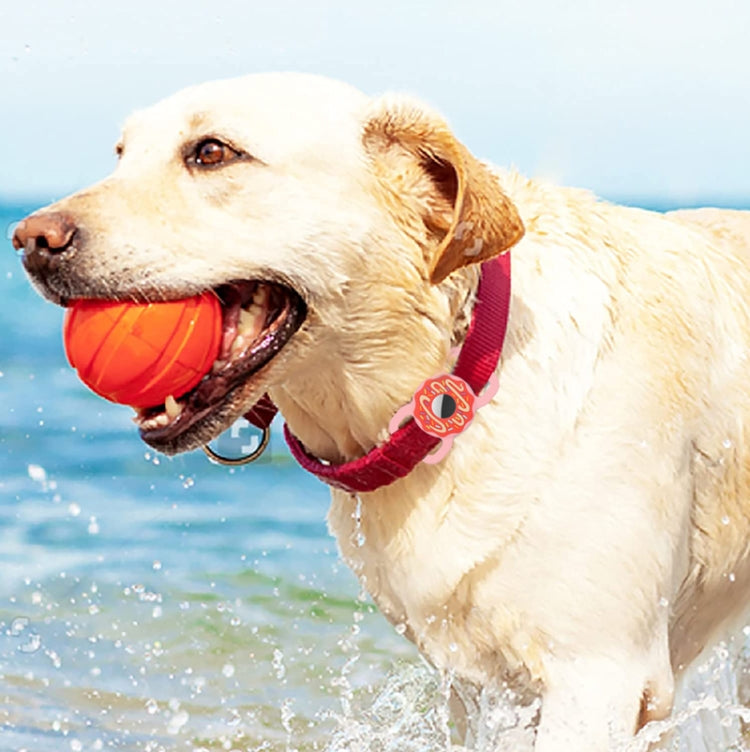 EDA003143801_B3.jpg@062750e9aeb500a3e18b77385b923d16