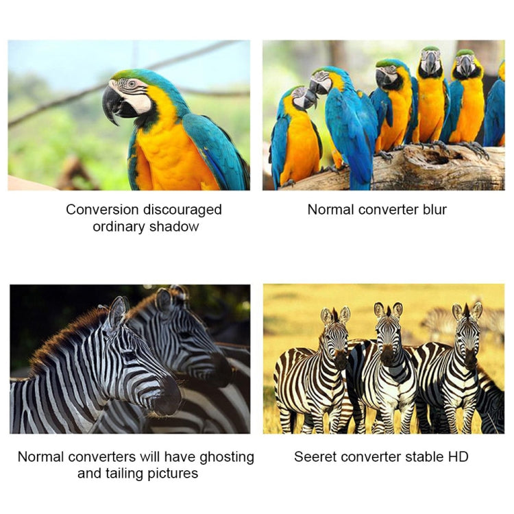 PC5619_6.jpg@5924eccae8401653a5c13e55a4f20742