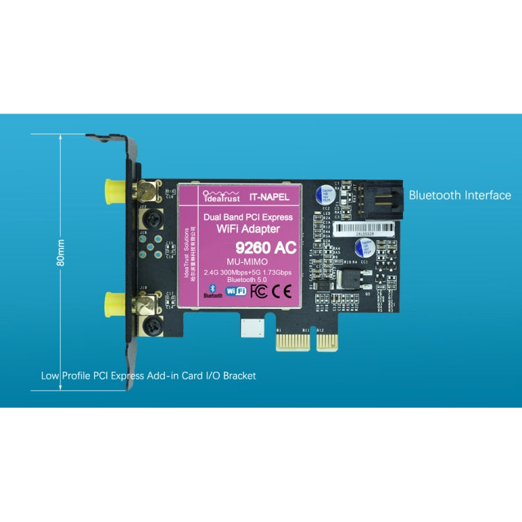 SP5213_4.jpg@83493d86eb2e95e6b9931a26df34a994