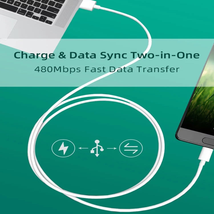 SYA0011573_2.jpg@2280628be6095336b26d54ddb506f37f