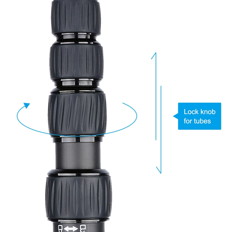 DCA1754B_13.jpg@8f61285d5fe998f1d3ff7cd2a1301dff