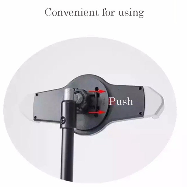 DCA2541_3.jpg@af31b46b67a37dd85bb8c8be65a8ccdb