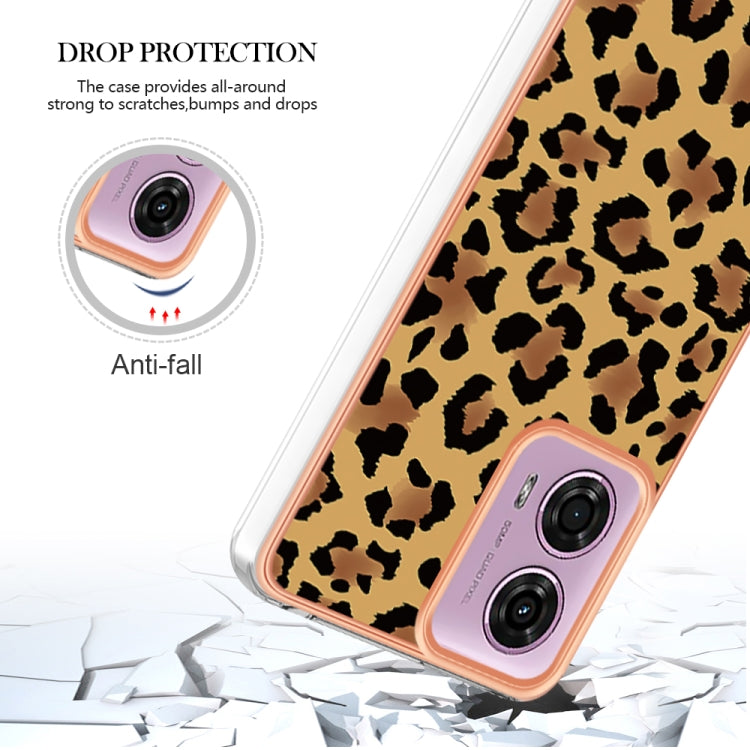 EDA005123510B_3.jpg@09fd88782c5d83bc2fe2396d737943ac