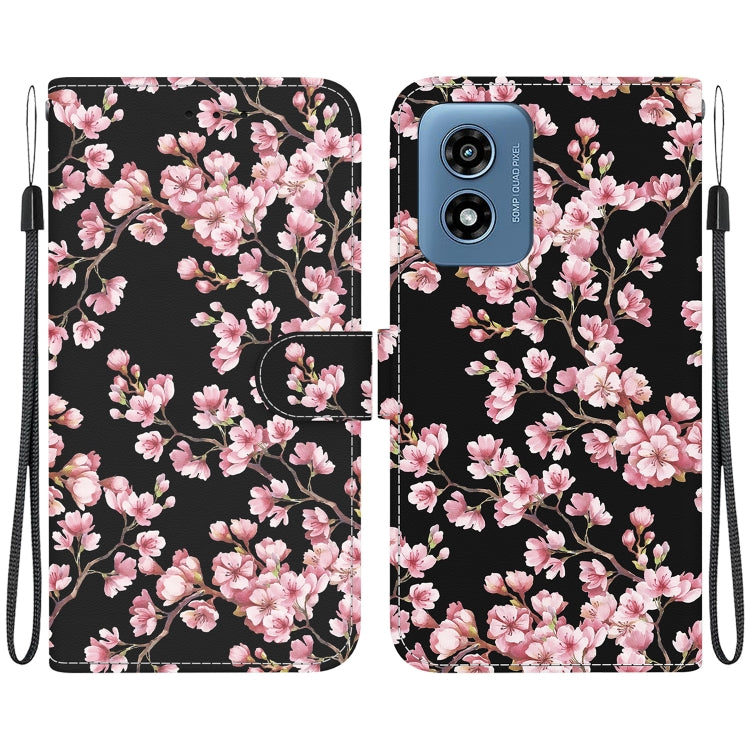 EDA005806745H.jpg@6b1fef5e98c6d7ef101d1acd7120e9f5