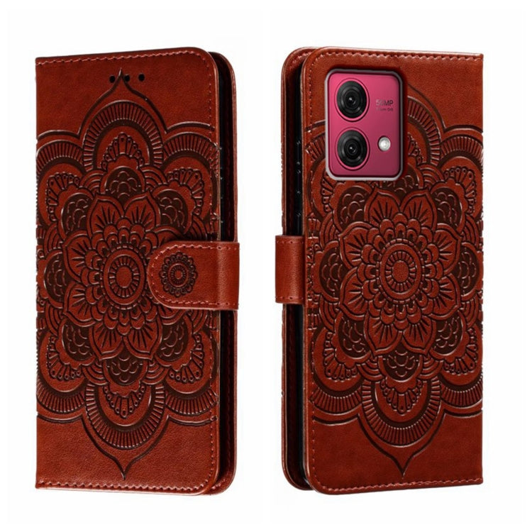 EDA006312116D.jpg@56113b8eb1aadb375c7cdfb6b5b9786a