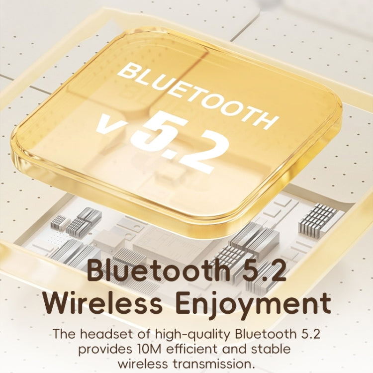 EDA0065370_B6.jpg@53765872ead13783b33dd4d0a7010f5f