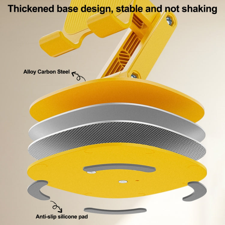 EDA0070834_B3.jpg@79d19afd60661e3155cd43492847e88a