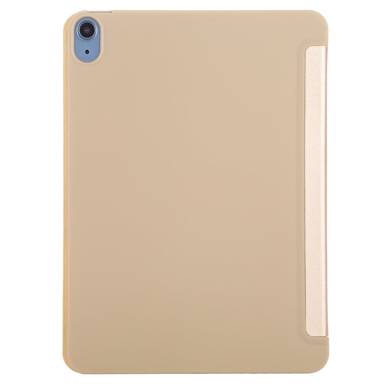 EDA00979701E_2.jpg@da3ac6eaf356270d96a204086ed9f79d