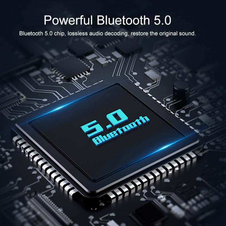 IP7G5415B_10.jpg@0887f5b22c0b99126b83192b72da3714