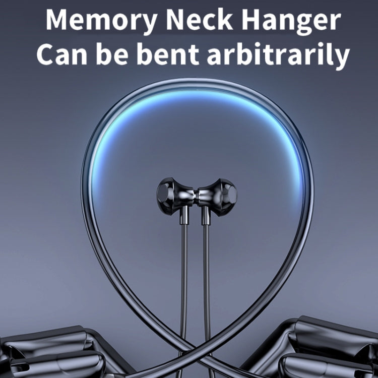 TBD06053344_B6.jpg@e6fed529ed2dbb00357993837738ef5e