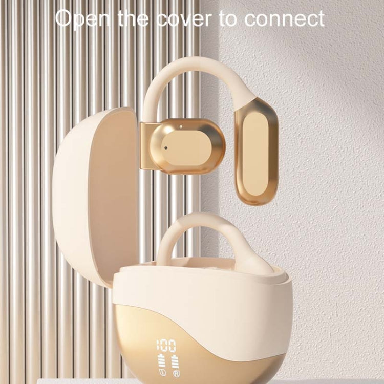 TBD06055139_B1.jpg@783fcb4a560275fb1ac5807d9600f1b5