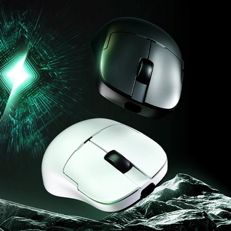 TBD06063311_B1.jpg@94a736fd7e47442ecf73894ec00b7337