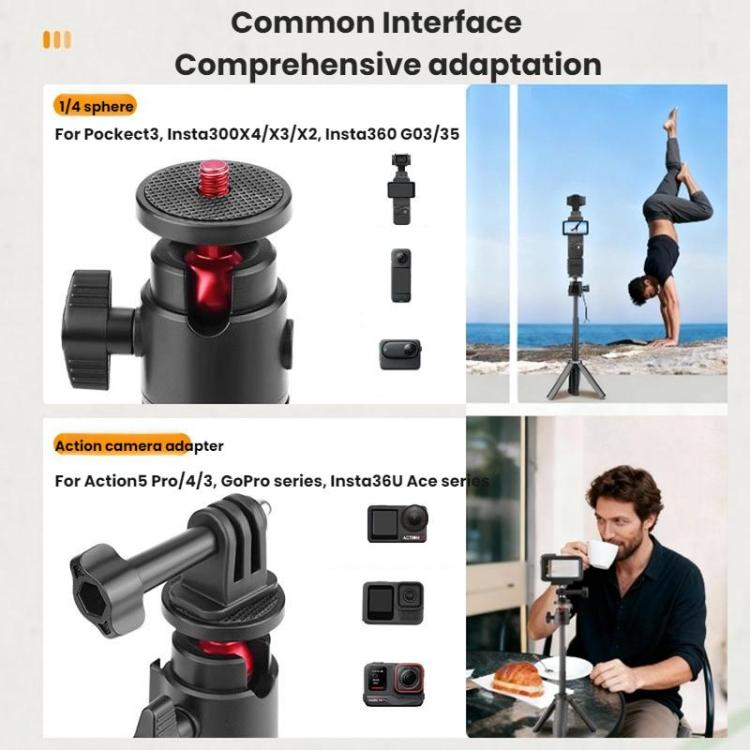 TBD06063576_B8.jpg@c4b7ccb0a657a8d8dff7ce9f745f391c