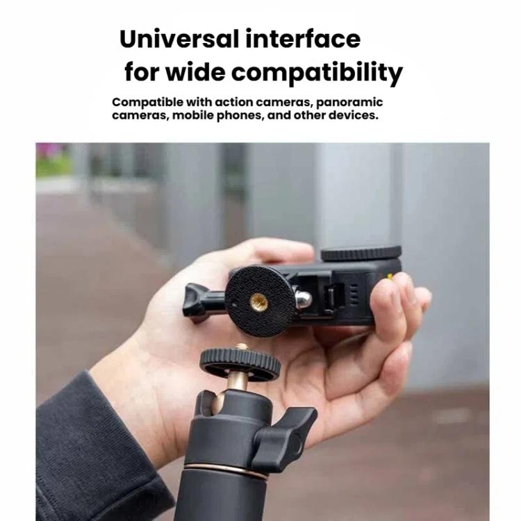 TBD06065065_B4.jpg@3529f9615292ba30510b6cb7c2d88064