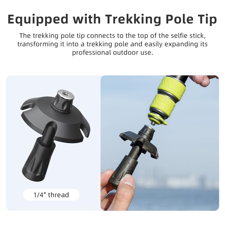 TBD06065794_B8.jpg@a9e444321b2566db75d070267464de81