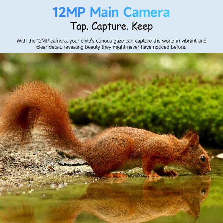 WMC2575_B8.jpg@6713b04c88a72a73bb2c8f96b0e84d5f