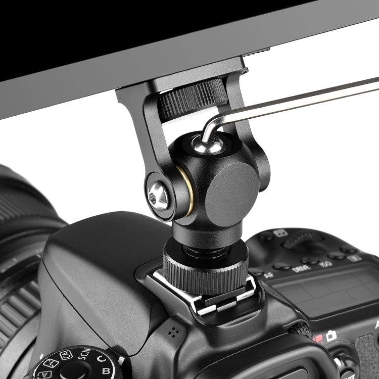 DCA0954B_8.jpg@b33f20bda5c68e4a4eb716a75b39efdb