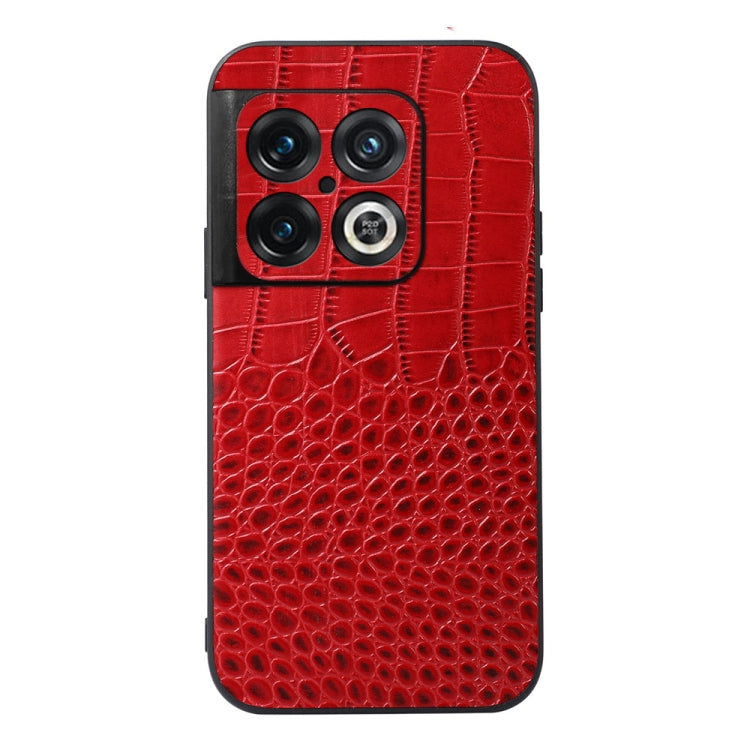 EDA002762201B_2.jpg@3c24449d4af9db7a021a1b1471d7a333