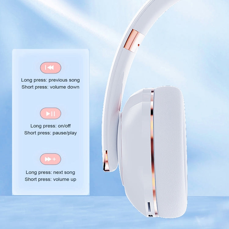 EDA004439901_B7.jpg@5c67b68dedafa64a3f71244190de5e8c