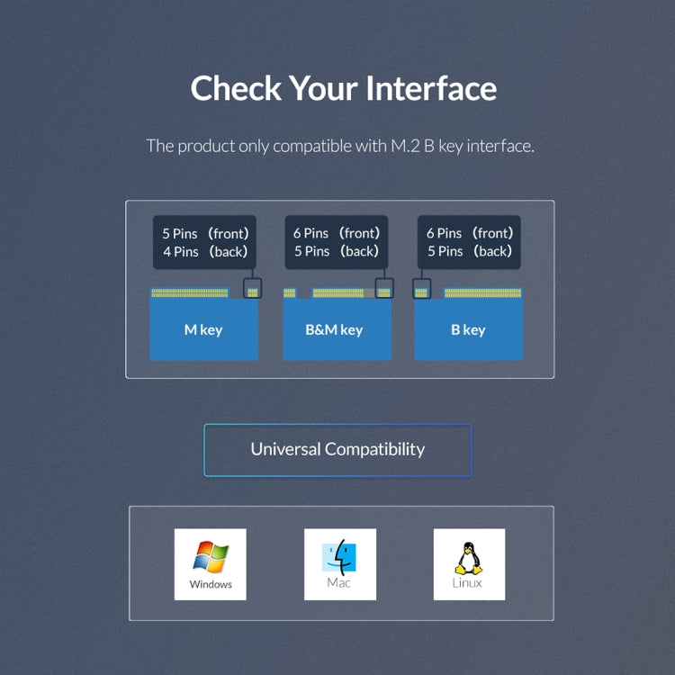 SYA006631_14.jpg@dd474cc03b7c3f2af0211f0131e83612